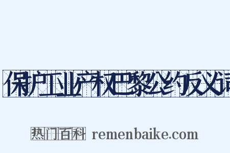 保护工业产权巴黎公约反义词是什么意思的图片